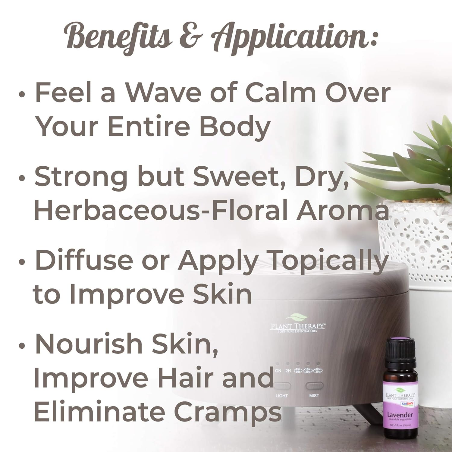 Plant Therapy Lavender Essential Oil 100% Pure, Undiluted, Therapeutic Grade 10 mL (1/3 oz) : Scented Oils : Beauty