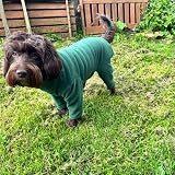 Pet Wiz Warm Four-Legged Dog Fleece Green XXL Weather-Resistant view 4