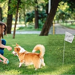 Zozen 50Pack White Marking Flags, Writable | Yard