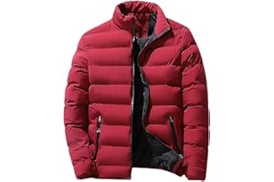 Men's Quilted Down Coat with Contrast Lining Winter Warm Full Zip Puffer Jacket Outdoor Plus Size Casual Outerwear
