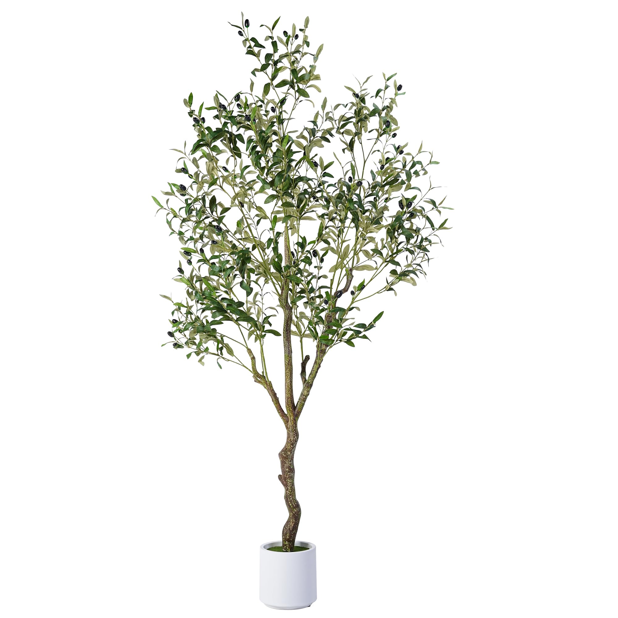 Photo 1 of *** pot and  stem missing*** used*** missing parts*** Jocoevol Artificial Olive Tree 6FT, Indoor Fake Silk Plant with Realistic Trunk, Leaves, Fruits and White Planter, Faux Potted Tree for Home Decor and Housewarming Gift, 1 Pack