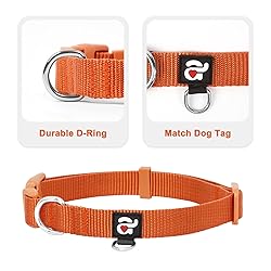 azuza 3 Pack Fall Dog Collars Comfortable and