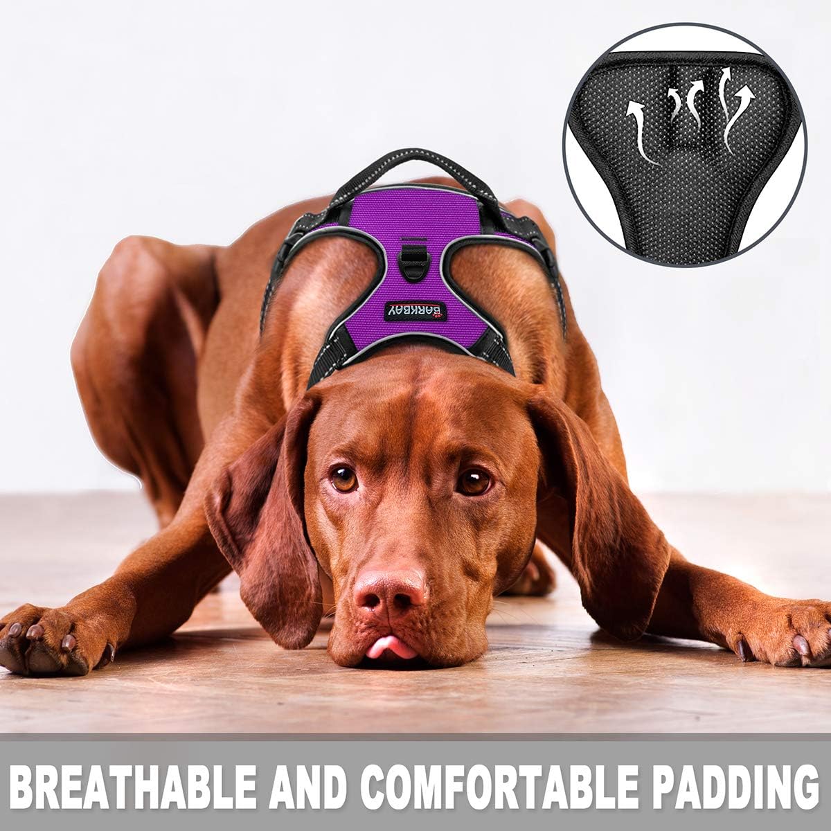 BARKBAY No Pull Dog Harness Front Clip Heavy Duty Reflective Easy Control Handle for Small Medium Large Dogs(Purple,L) - Image 3