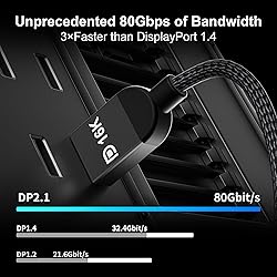 RUIPRO Displayport Cable 2.1 10ft, 80Gbps UHBR20