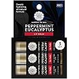 All-Natural Lip Balms for Men - Peppermint Eucalyptus Flavor - Infused with Shea Butter, Beeswax, Coconut Oil, and Vitamin E for Soft, Hydrated Lips