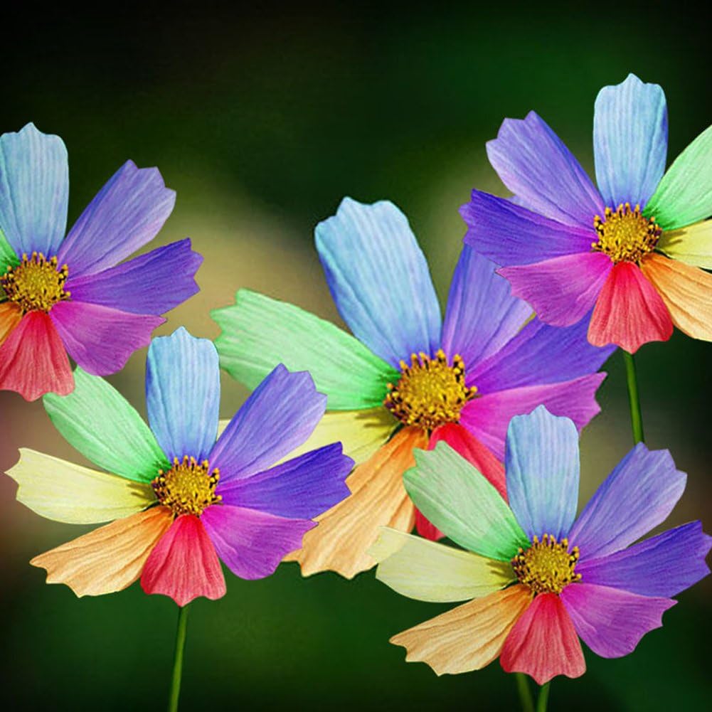 Rose Iris Tectorum Sunflower Cobaea Scandens Seed, 300Pcs Amazing Rainbow Color Chrysanthemum Seeds Flower Seeds Home Garden Decor