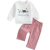 Mobbdow Toddler Baby Boy Birthday Outfit Zoo Animal Birthday Boy Embroidery Crewneck Sweatshirt and Gingham Plaid Pants Set