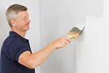 ProDec 6 inch Pure Bristle Wall Brush for Emulsion Paints 150mm view 7
