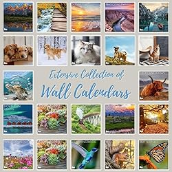 July 2025- December 2026 Wall Calendar 18 Month