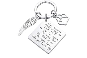 ShiQiao Spl Pet Bereavement Memorial Remembrance Gift - When Tomorrow Starts Without Me Paw Prints Keychain Dog Cat Loss Gifts for Pet Owner Sympathy Gifts