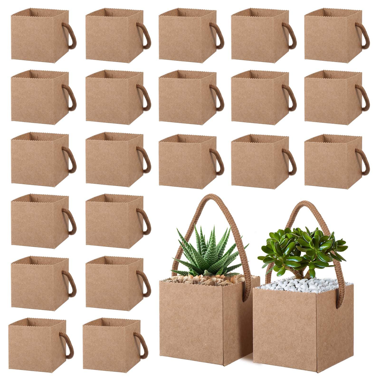 Photo 1 of ** only 50**
Lemecima 100Pcs Succulent Wrap Bags Succulent Gift Box Fits 2.5 Inch Pots Wedding, Baby Shower, Succulent Party Favors for Guests