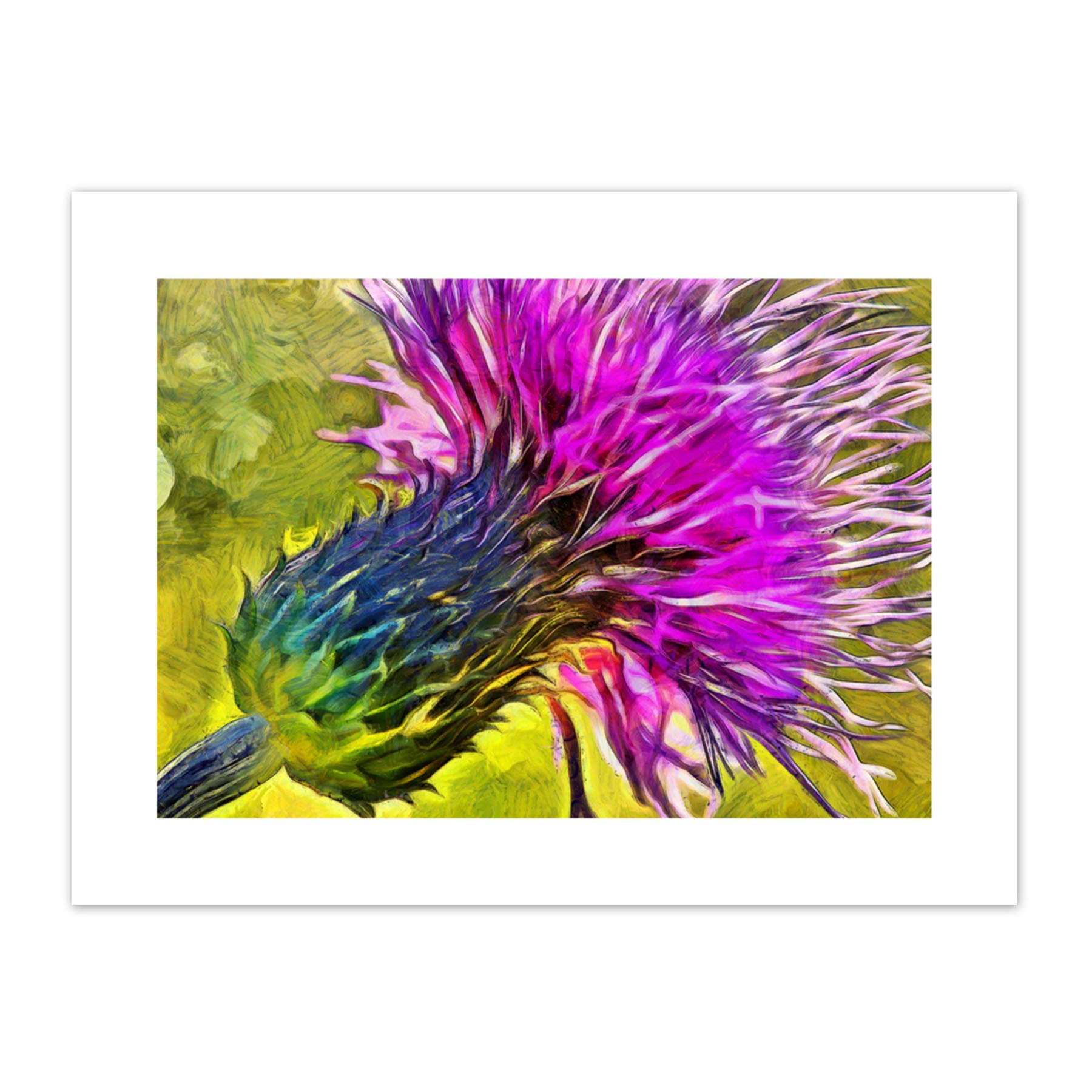 Scottish Thistle Flower Vibrant Canvas Wall Art Print