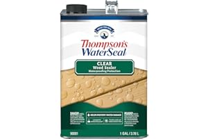 Thompson's WaterSeal Clear Wood Sealer, Clear, 1 Gallon