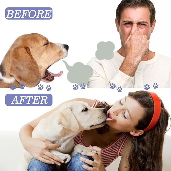 COLORCASA 2 PCS PET ORAL CARE SPRAY,2023 NEW PET CLEAN TEETH SPRAY,PET CLEAN TEETH CLEANING SPRAY FOR DOGS & CATS,PET ORAL SPRAY CLEAN TEETH,PETCLEAN NO BRUSHING PET ORAL CARE SPRAY