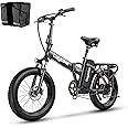 bluebiko 1000W Folding Electric Bike, 48V 20AH Large Removable Battery E Bike, 30+MPH, 80 Miles Max Range, 20" Fat Tire Electric Bike for Adults, Adult Electric Bicycles for Commute Beach Snow