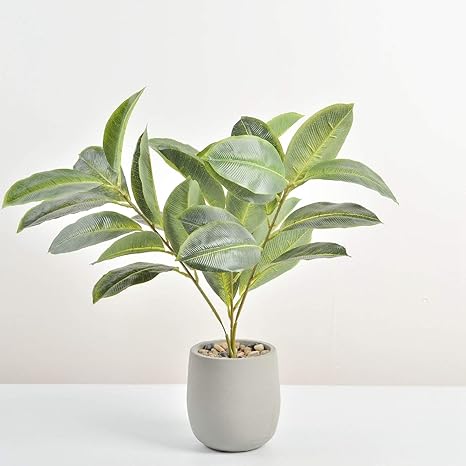 Amazon 人工観葉植物 モンステラ サンスベリア 造花 ミニ リアル 世話いらず 防水 枯れない オフィス 室内 寝室 おしゃれ 風水 贈り物 新年 お正月 開店祝い 出産祝い 母の日 敬老の日 緑色 高さ約30 40cm 人工観葉植物 オンライン通販 Amazon 人工観葉植物 モンステラ サンスベリア 造花 ミニ リアル 世話いらず 防水 枯れない オフィス 室内 寝室 おしゃれ 風水 贈り物 新年 お正月 開店祝い 出産祝い 母の日 敬老の日 緑色 高さ約30 40cm 人工観葉植物 オンライン通販