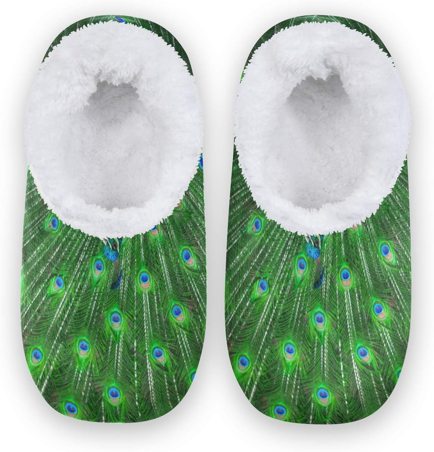 peacocks slippers