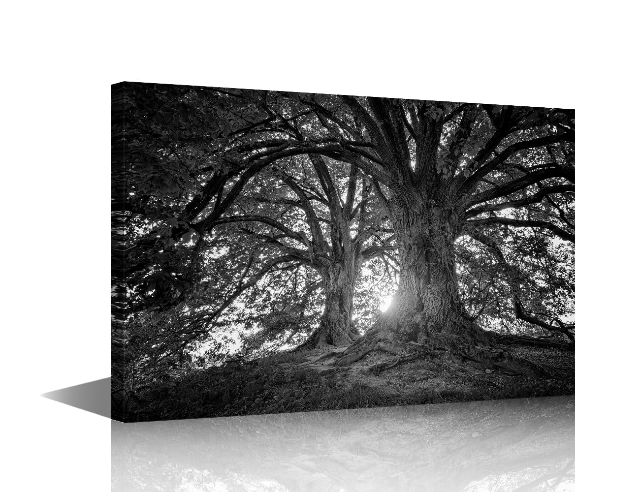TISHIRON Forest Vintage Tree Wall Art Decor Painting on Canvas Black and White Pictures for Home Walls 1 Piece Big Tree Office Wall Art Framed Modern Artwork for Living Room Bedroom, 24x16in