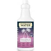 Steam &amp; Go Demineralized Water for Steam Mop &ndash; Hotel California Scent, 32 Ounces (Pack of 1) | Scented Floor Cleaner Solution, Ready-to-Use, Compatible with Any Steam Cleaner