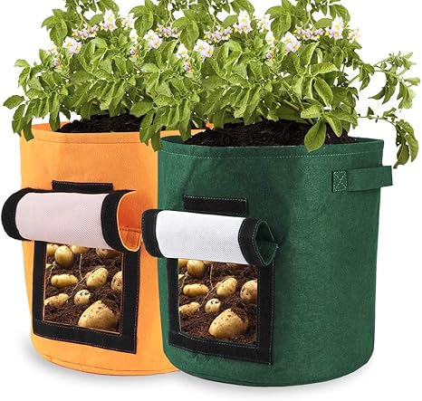Amazon Com Potato Grow Bags 2 Pack 10 Gallon Potato Planter Bag Double Layer Nonwoven Cloth Fabric Pots With Handles For Vegetables Fruit Carrot Tomato Onion Kitchen Dining