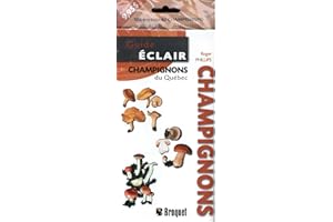 Champignons