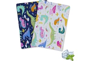 Cerbonny Ice Packs For Lunch Boxes,Lunch Box Ice Packs,Ice Pack For Lunch Box,Ice Packs For Cooler,Freezer Packs,Fit For 3+,Dinosaur-2ps