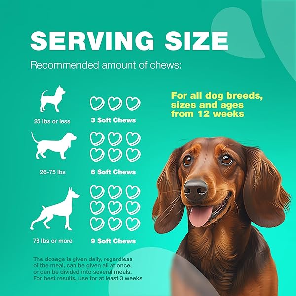 COPROPHAGIA DETERRENT – NO POO CHEWS FOR DOGS – DOG PROBIOTICS FOR DIGESTIVE HEALTH WITH ENZYMES – CANINE STOOL EATING DETERRENT – DIGESTIVE, DENTAL, GUT & IMMUNE HEALTH TREATS – NO POOP EATING