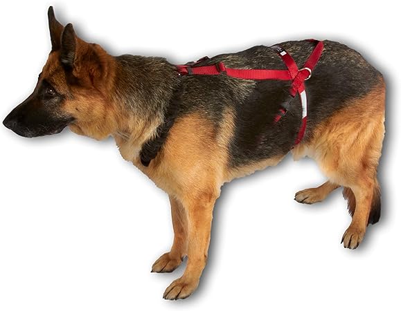 dog pulling harness amazon