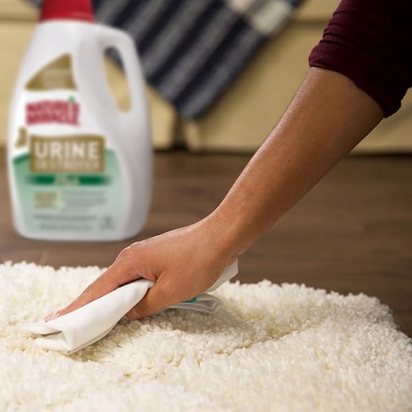 NATURE’S MIRACLE URINE DESTROYER PLUS FOR CATS, UNSCENTED, ENZYMATIC FORMULA FOR SEVERE CAT URINE STAINS, 1 GAL