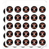 Sam Houston State University Bearkats Planner Calendar Scrapbooking Crafting Stickers
