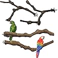 Allazone 4-Piece Bird Perch - Natural Grapevine Stick Swing Chewing Toys for Parrot Cages, Cockatiels, Parakeets, Finches