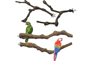 Allazone 4-Piece Bird Perch - Natural Grapevine Stick Swing Chewing Toys for Parrot Cages, Cockatiels, Parakeets, Finches