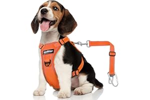 VavoPaw Dog Seat Belt Harness for Car, Dog Car Harness Adjustable Mesh Breathable & Dogs Seatbelt Safety Tether with Elastic Bungee for Small Medium Large Pets(Orange, M)