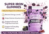 Vegums Super Iron Gummies - Vegan Iron Supplement - BlackBerry Flavor view 2