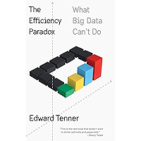 The Efficiency Paradox: What Big Data Can't Do book cover
