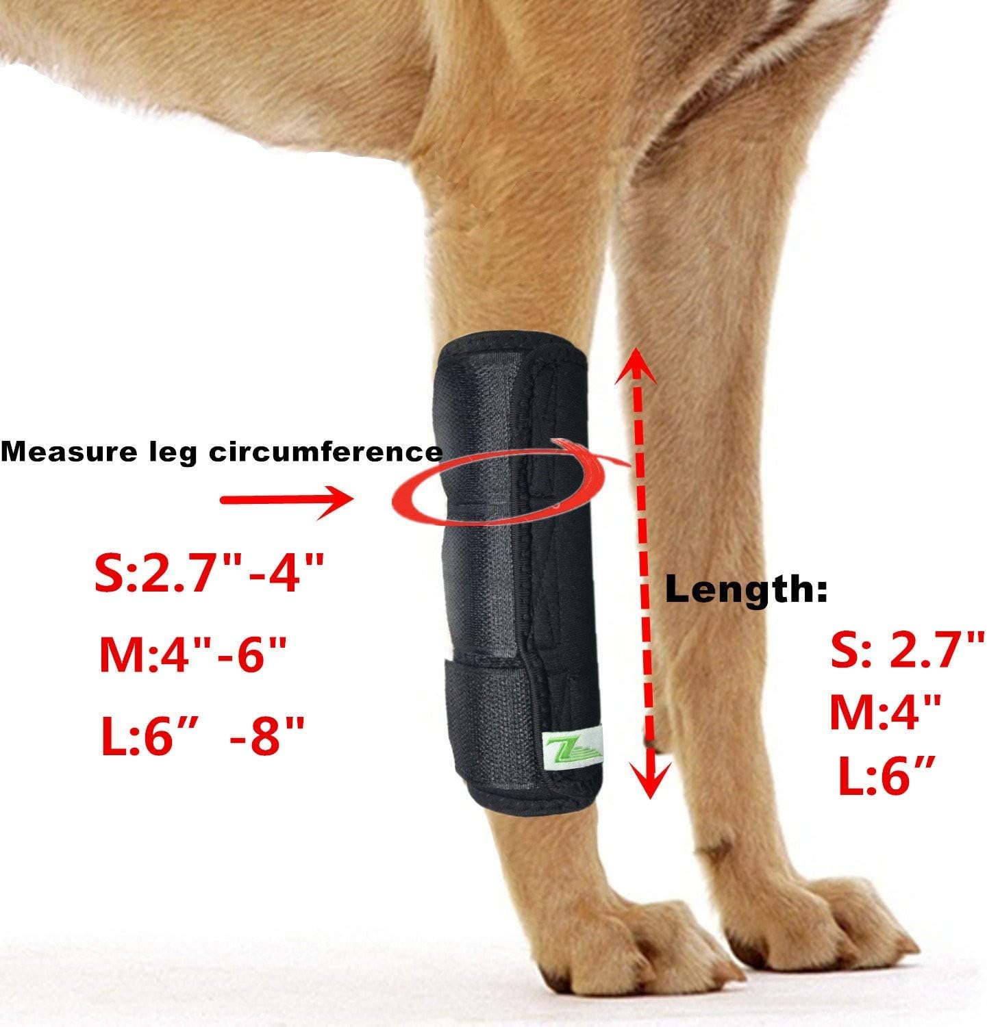 dog ankle brace
