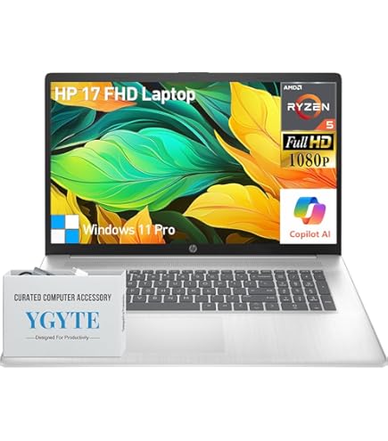 Amazon.com: Dell Inspiron 17 3793 Laptop 17.3