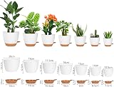 CSYY 7 Pack Self Watering Plant Pots Indoor Outdoor 20.3-12.7cm White view 2