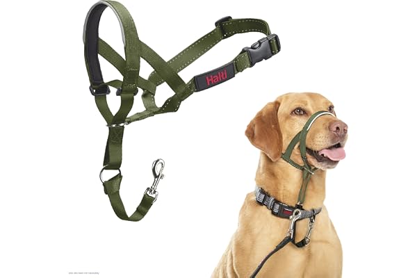 Halti Headcollar for Dogs | Size 3, Forest Green | Stop Your Dog Pulling on the Leash. Adjustable, Reflective & Lightweight,