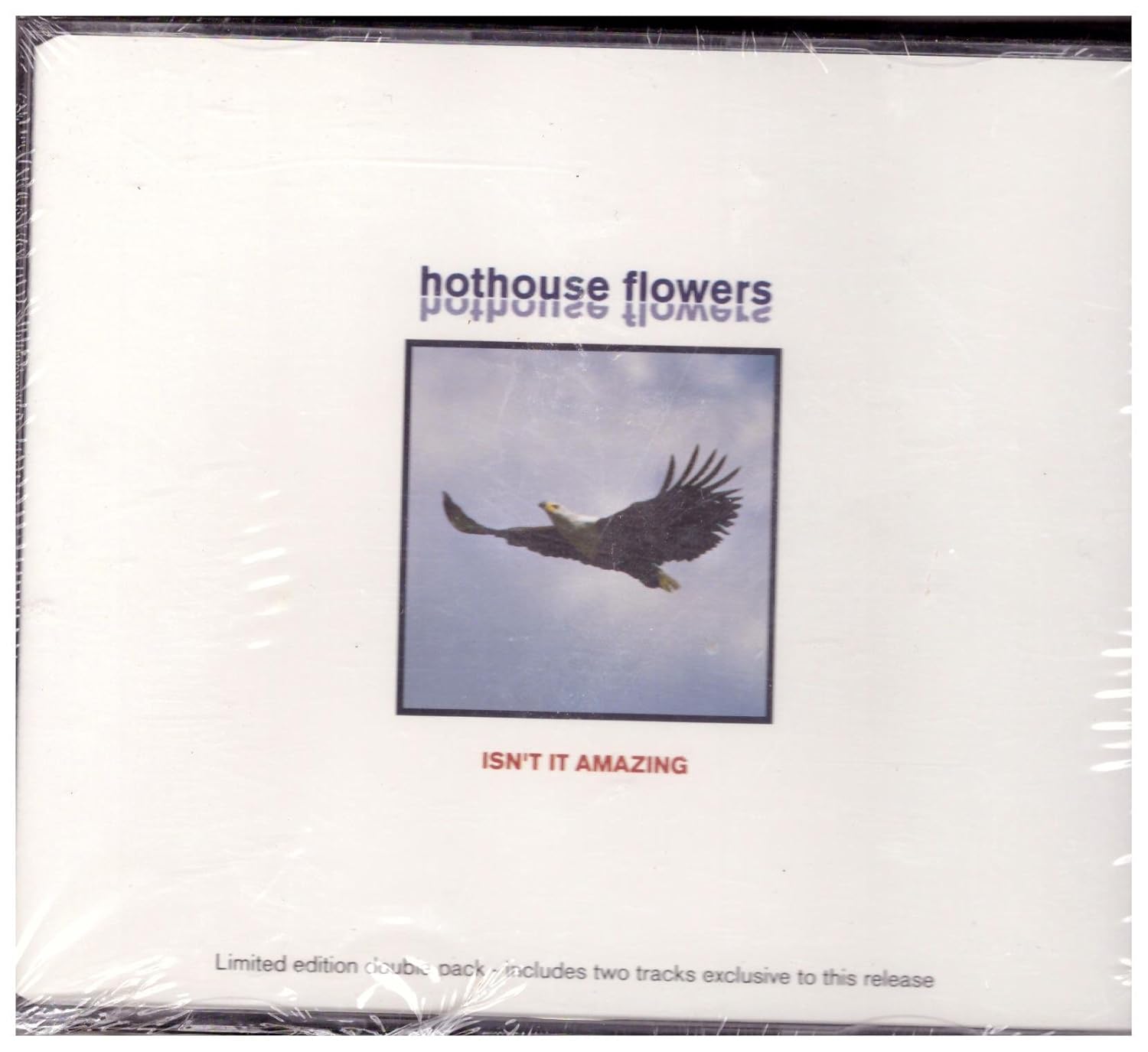 Hothouse Flowers Isn't It Amazing Part 1 Music