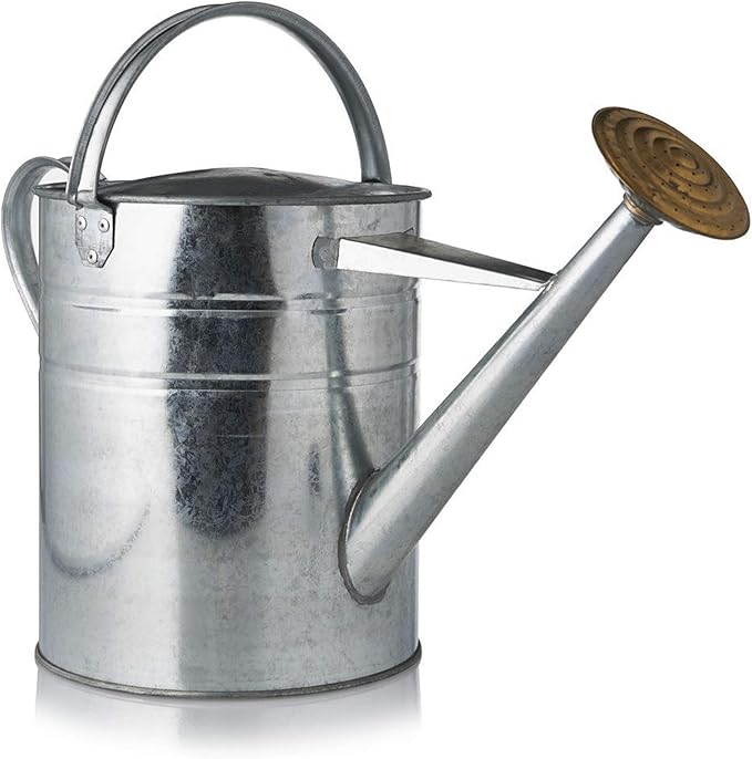 Quality Galvanized 2 Gallon 9L Metal Watering Can with Removable Brass