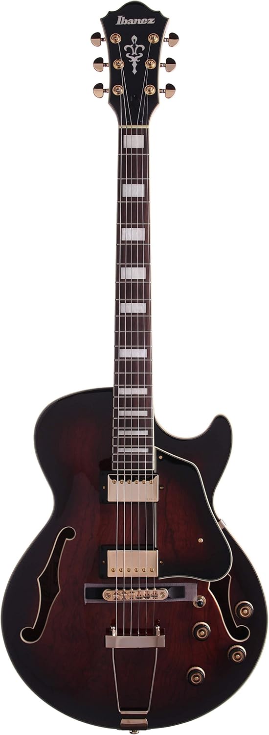 Ibanez AG95 DBS Semi Acoustic Guitar Amazon.co.uk Musical Instruments