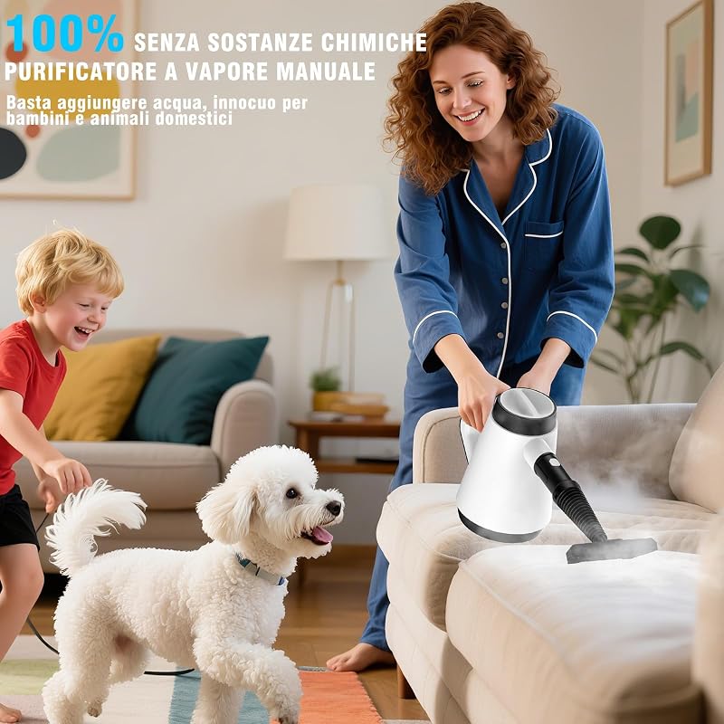 Pulitore a vapore manuale, 400 ml, pulitore a vapore multiuso con 9 accessori, pulitore a vapore senza sostanze chimiche per uso domestico, pulizia di pavimenti, piastrelle, finestre, divani