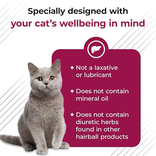 VETRISCIENCE HAIRBALL CONTROL CHEWS FOR CATS, OMEGA-3 AND FIBER SUPPLEMENT, SUPPORT DIGESTION AND SKIN AND COAT, TASTY SMALL BITES, CHICKEN, 60 COUNT