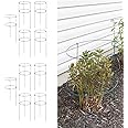 36" x 18" Peony Double Ring Plant Support, Pack of 10 Plant Support Stakes for Tomatoes Peony Lily Rose Plant Support Rings Peony Cages for Outdoor Plants Flowers Vegetables