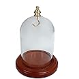 3 x 4 Pocket Watch Glass Display Dome Cloche with Gold Knob and Hook with Walnut Stained Base