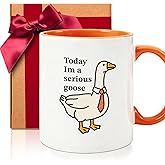 Funny Goose Mug Gift, I'm a Serious Goose for Nurse Women Goose Lover Friends, Birthday Gifts for Women Practitioner RN LPN Nurses, Nurse Week Gift, New Nurses Gifts
