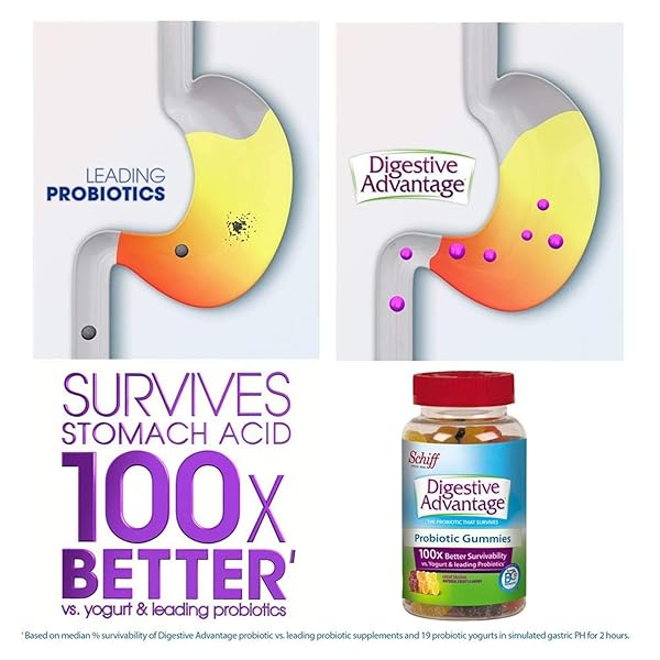 DIGESTIVE ADVANTAGE PROBIOTIC GUMMIES, DIETARY SUPPLEMENT, 80 COUNT