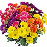 Mutcolor 8 Bundles Artificial Silk Daisy Flower Fake Outdoor Bouquet Artificial Bulk Bouquet UV Protection for Garden Front Porch Planter Home Indoor Table Top Vase Decoration (Multi-Color)