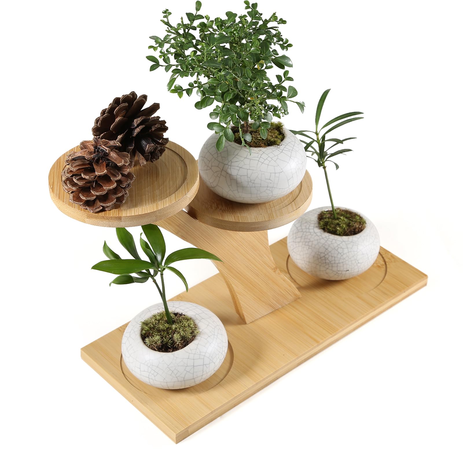 Photo 1 of QruiLanTu Window Sill Plant Shelf?Desk Desktop Bamboo Plant Stand? Table Succulent Plant Stand for Home, Office, Living Room, Bedroom Decoration